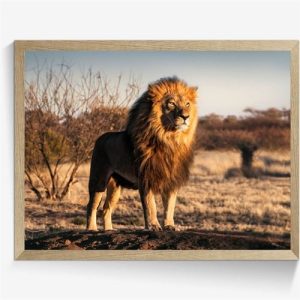 Dekorera väggen med läckra mönster